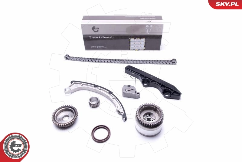 Timing Chain Kit